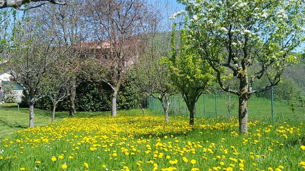 Villa San Giorgio Pellio Superiore Kültér fotó